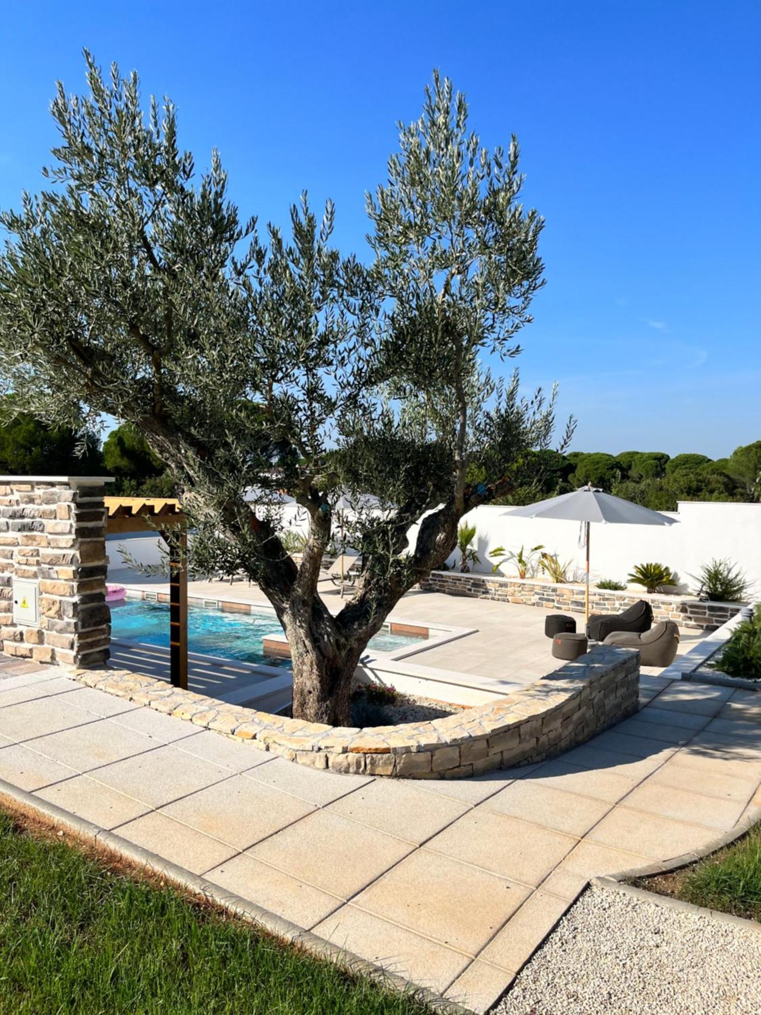 Olivea Luxury Suites Fažana Kültér fotó